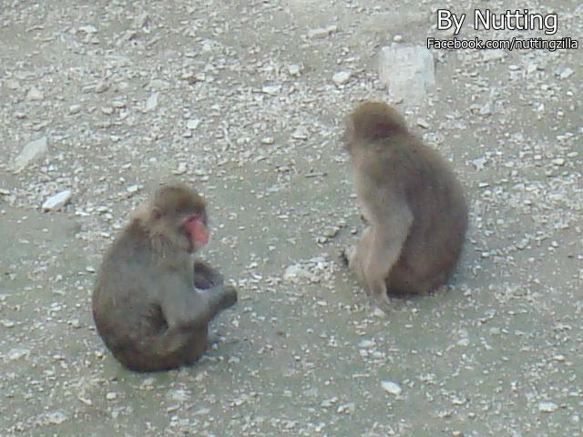 DSC03999.JPG
